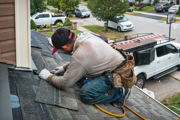 Professional Roof Leak Repair technician working in Dent, MN